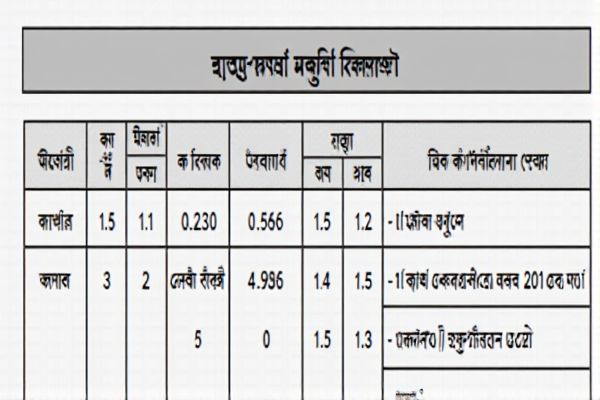 Government Job Opportunities for Computer Science Engineers in Bangladesh